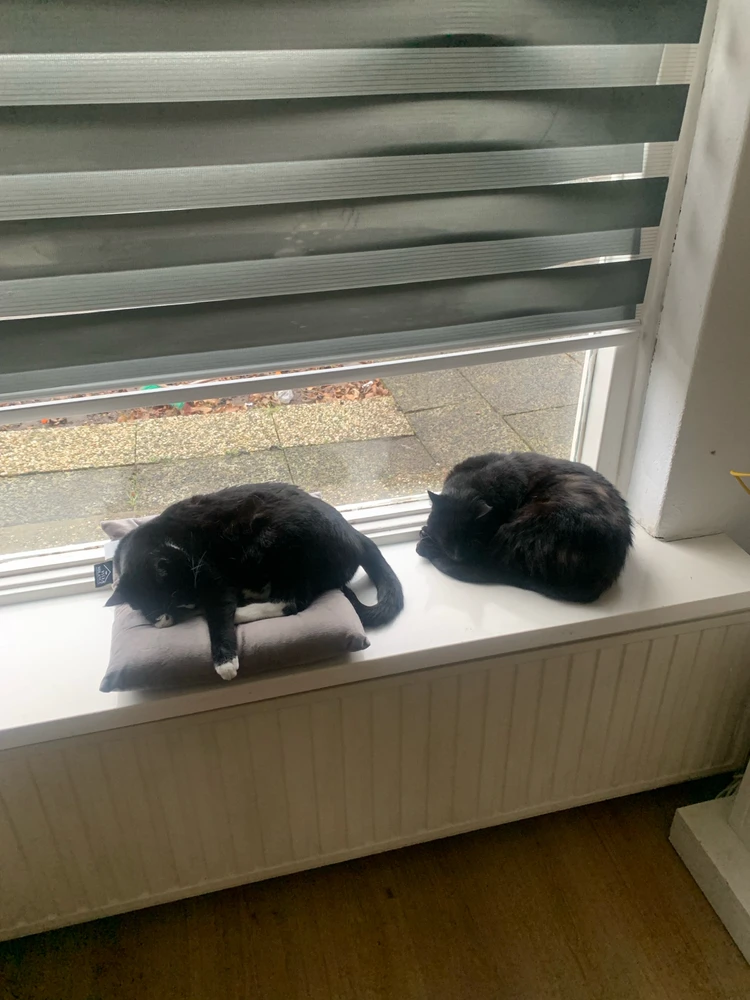 GIF geüpload door Samcix