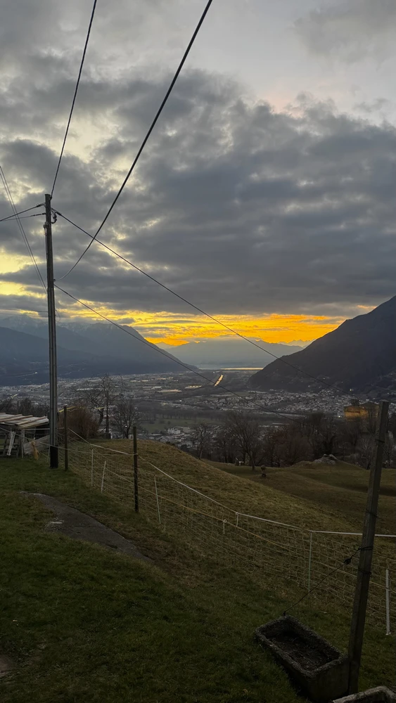 Immagine caricata da Daniel