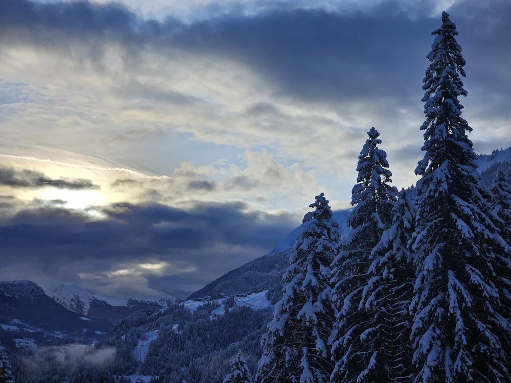 Immagine caricata da Daniel