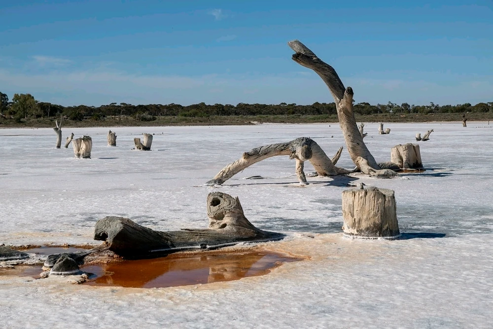 GIF uploaded by Serge Aus