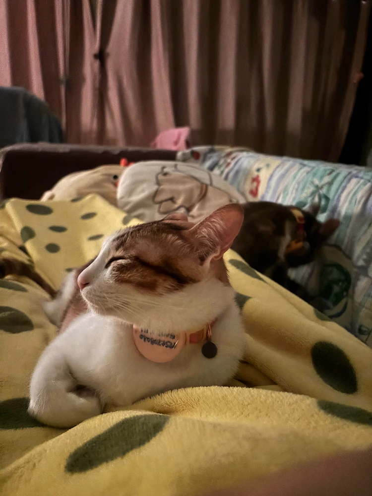 Image uploaded by Pat♡