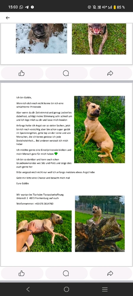 Bild hochgeladen von blackangel