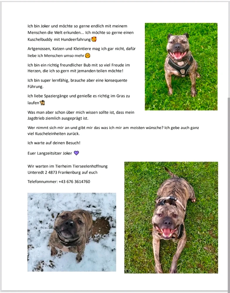 Bild hochgeladen von blackangel