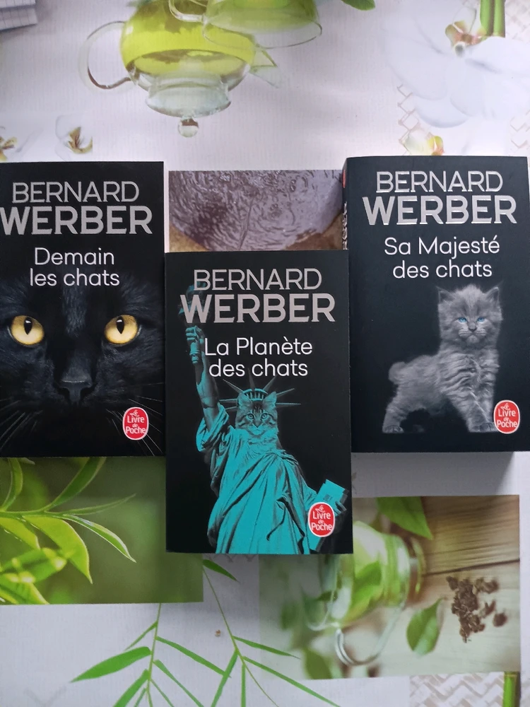 Image ajoutée par Jonathan