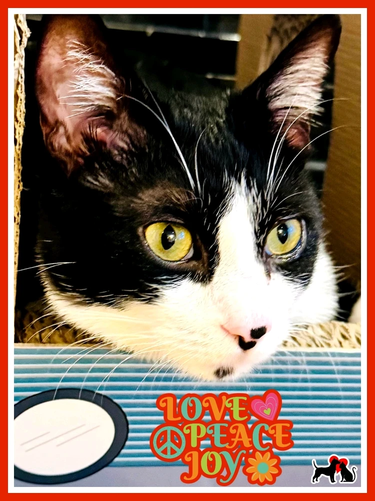 GIF ανέβηκε από Michalis