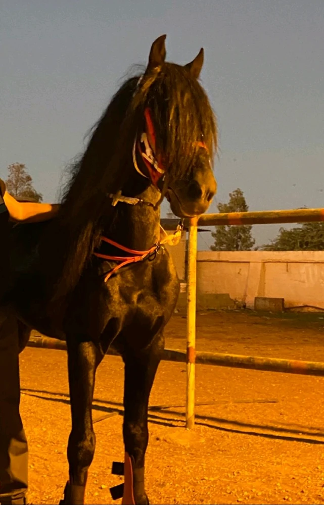 GIF uploaded by Raza