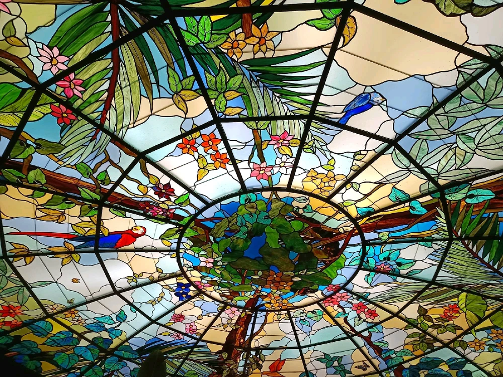 Image ajoutée par Cymoriel🦋