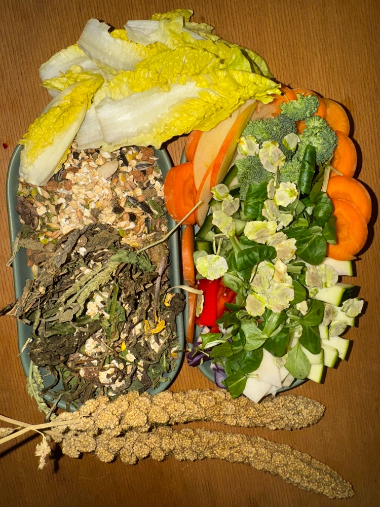 GIF hochgeladen von Angi