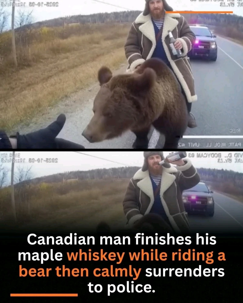 GIF uploaded by Neil