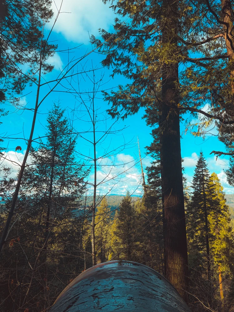 Image uploaded by Benn