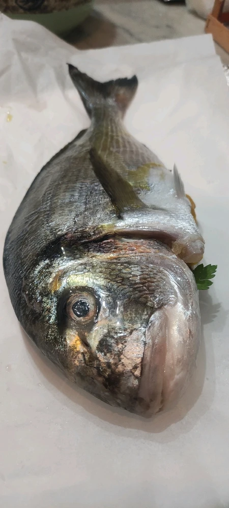 Image uploaded by Aquarius®