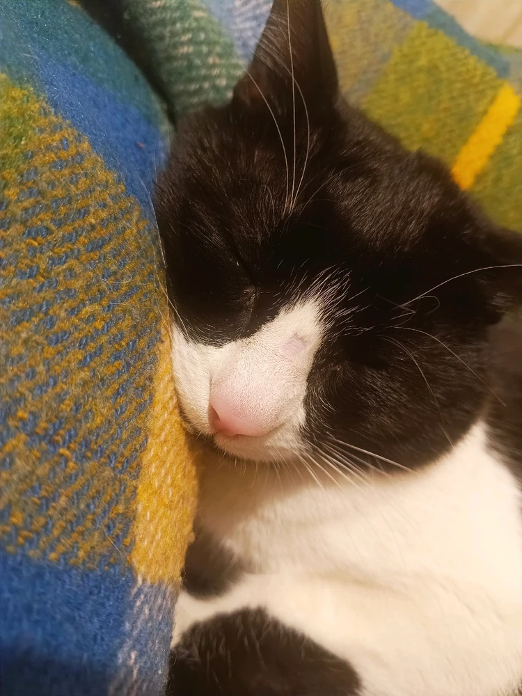 GIF uploaded by Derin