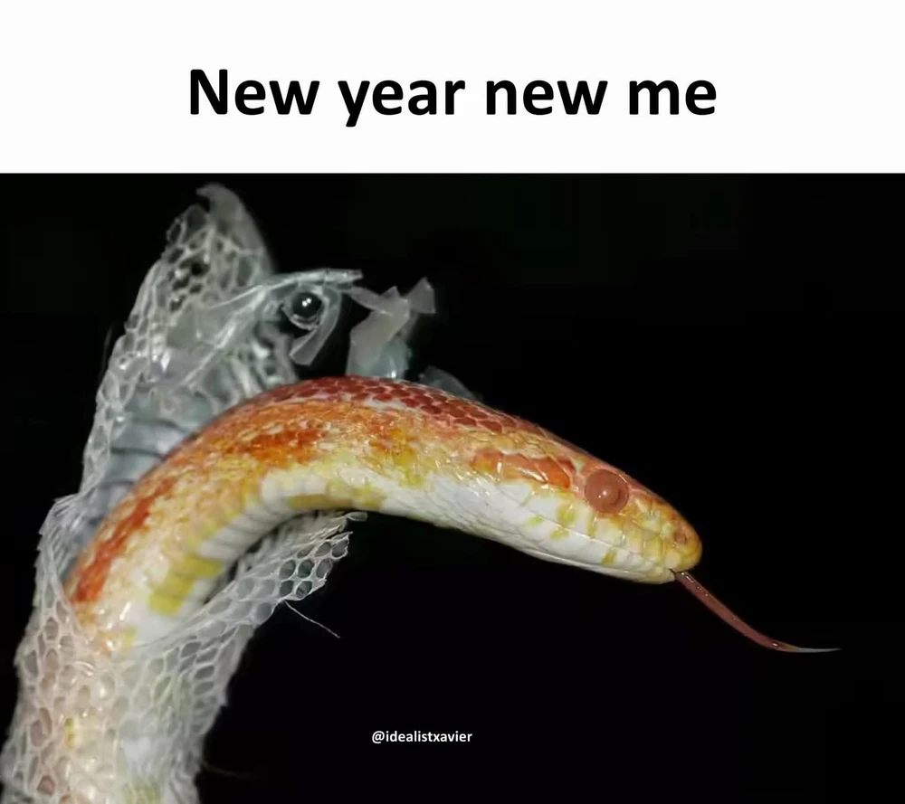 GIF uploaded by Caedus