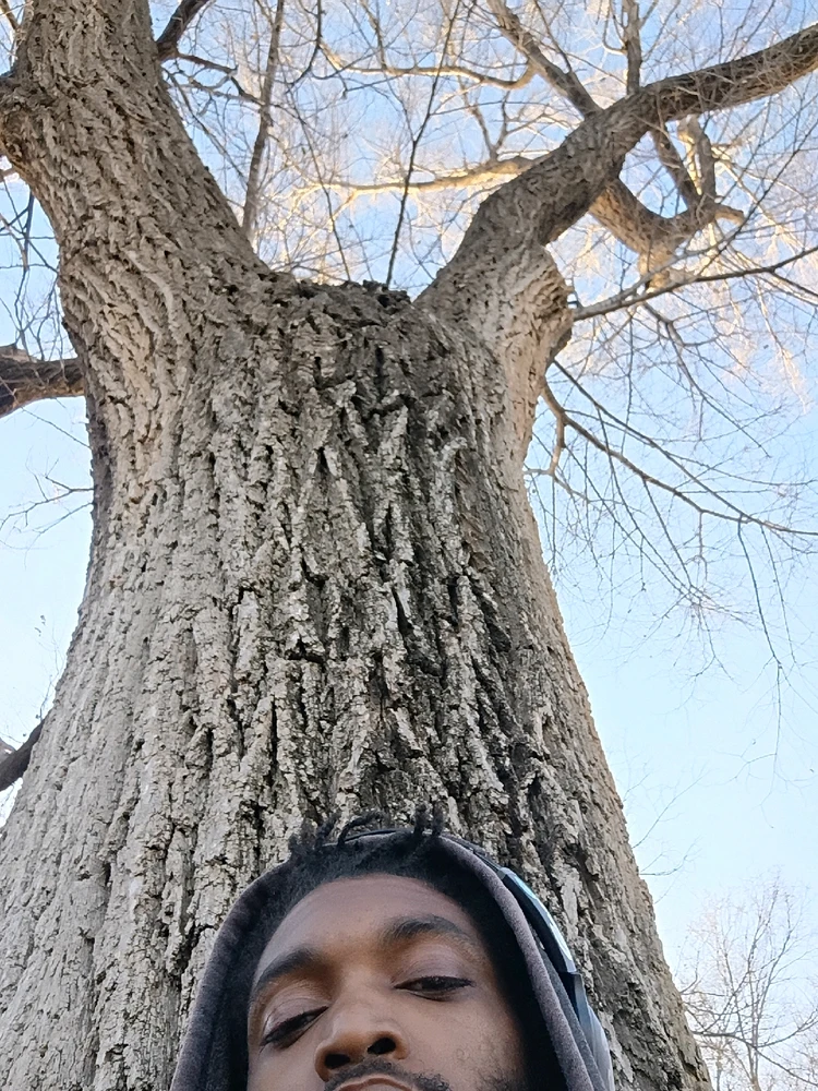 Image uploaded by Sypriss Hill