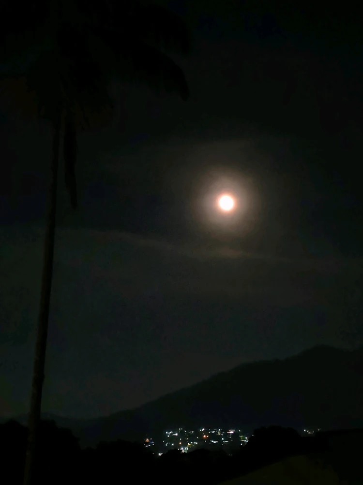 Image uploaded by Patrick