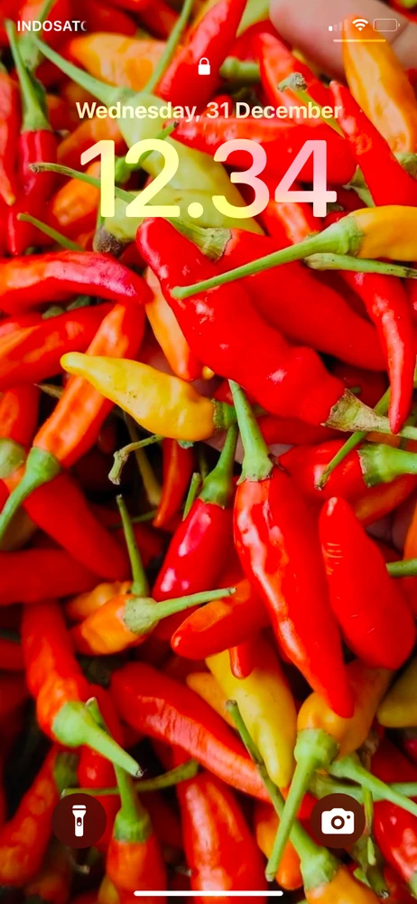 GIF uploaded by Dhany