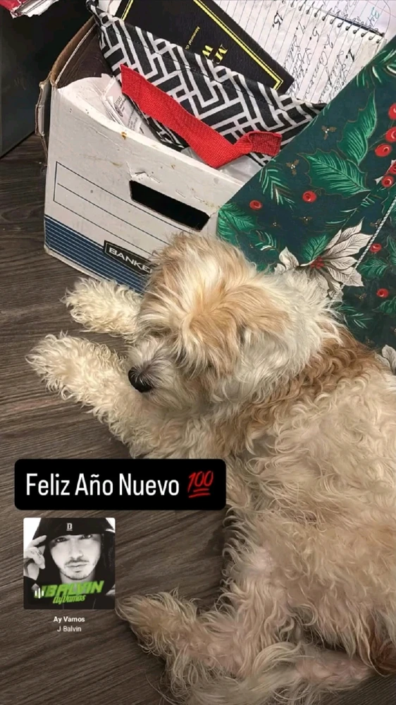 GIF uploaded by Borderline