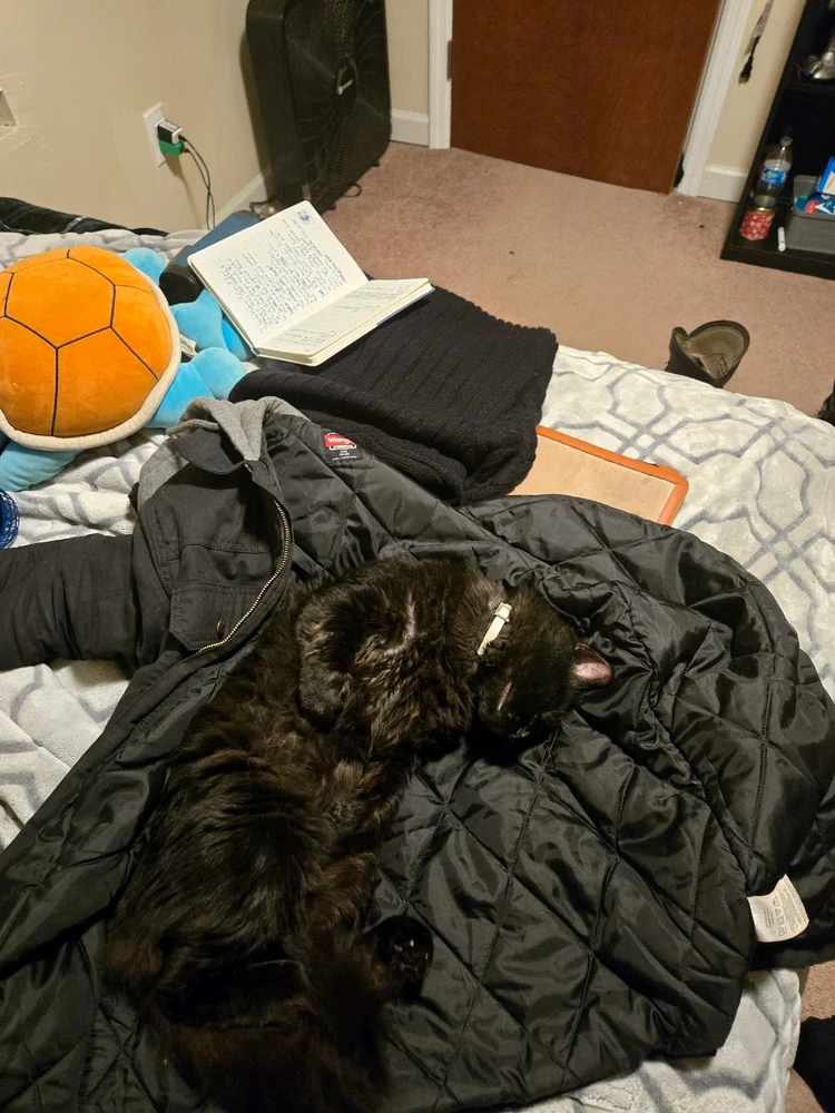 GIF diunggah dening Ellimist