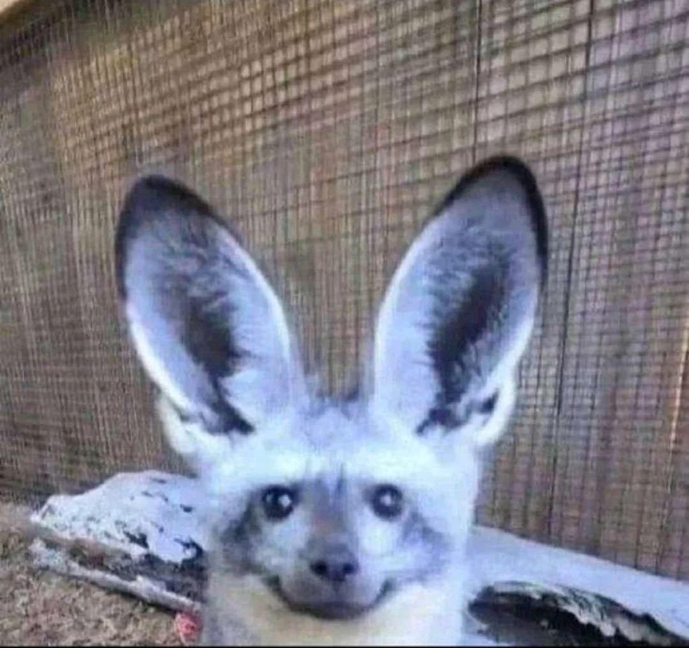 GIF hochgeladen von Lina