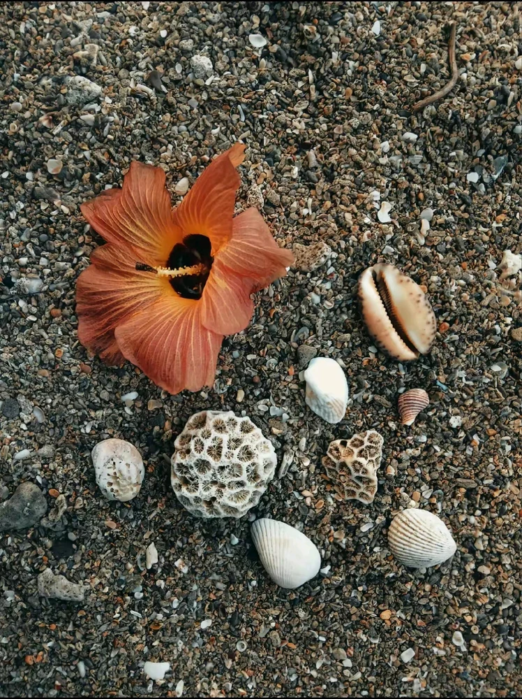 Gambar diunggah dening Desi