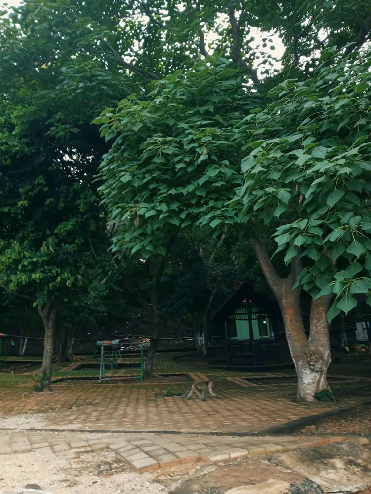 Gambar diunggah dening Desi