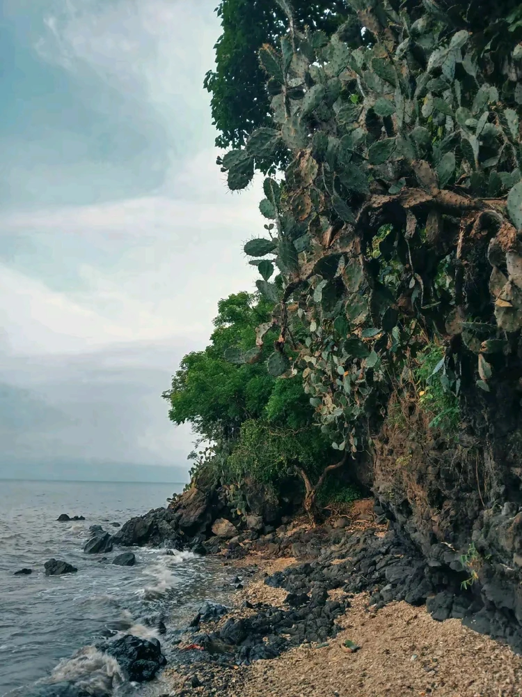 Gambar diunggah dening Desi