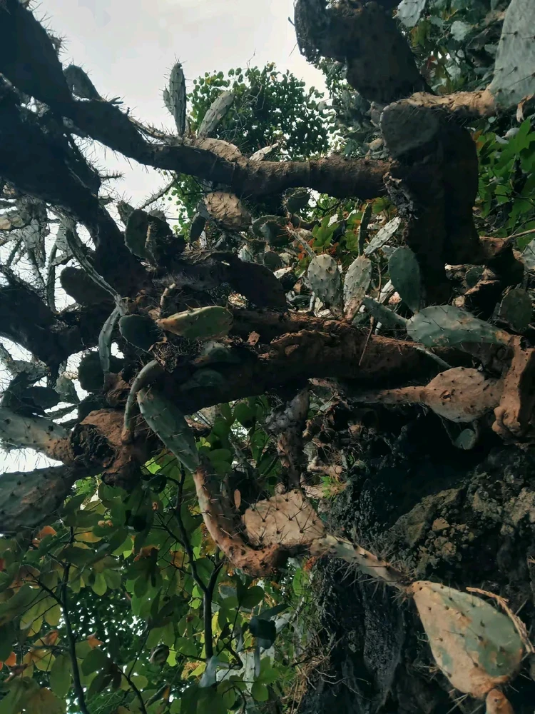 Gambar diunggah dening Desi