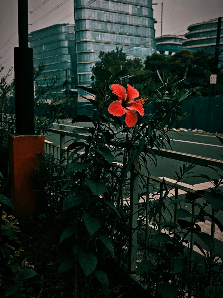 GIF uploaded by Sir EL