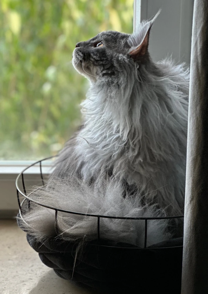 GIF ajouté par Yann