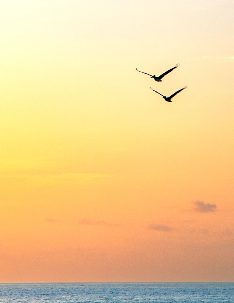 Gambar diunggah dening Ale