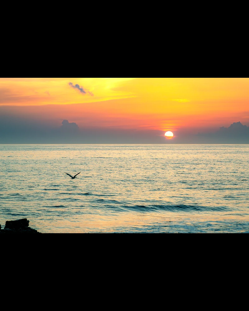 Gambar diunggah dening Ale