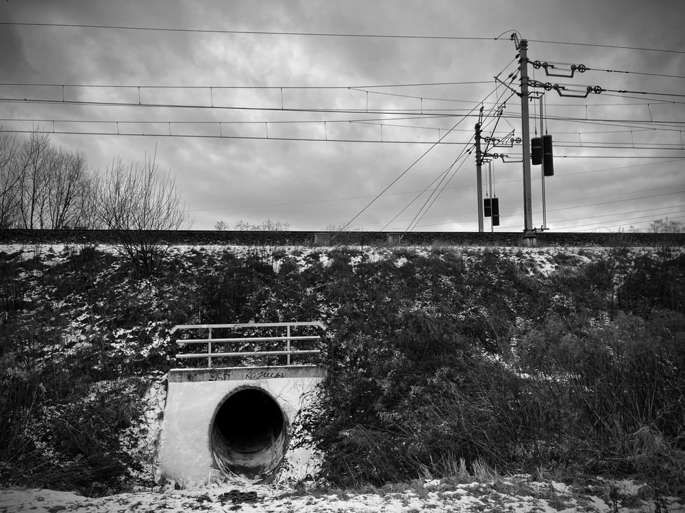 Zdjęcie dodane przez Czarna_Kosmitka