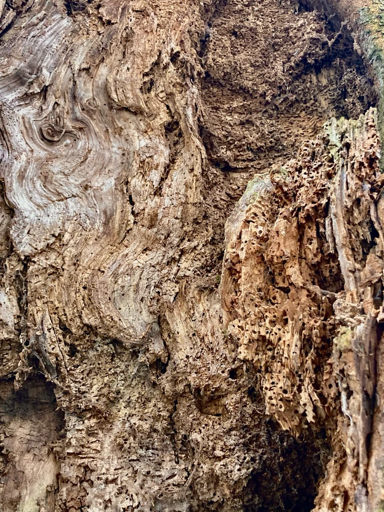 Zdjęcie dodane przez Czarna_Kosmitka