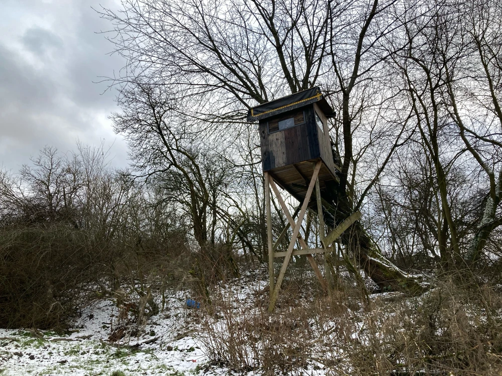 Zdjęcie dodane przez Czarna_Kosmitka