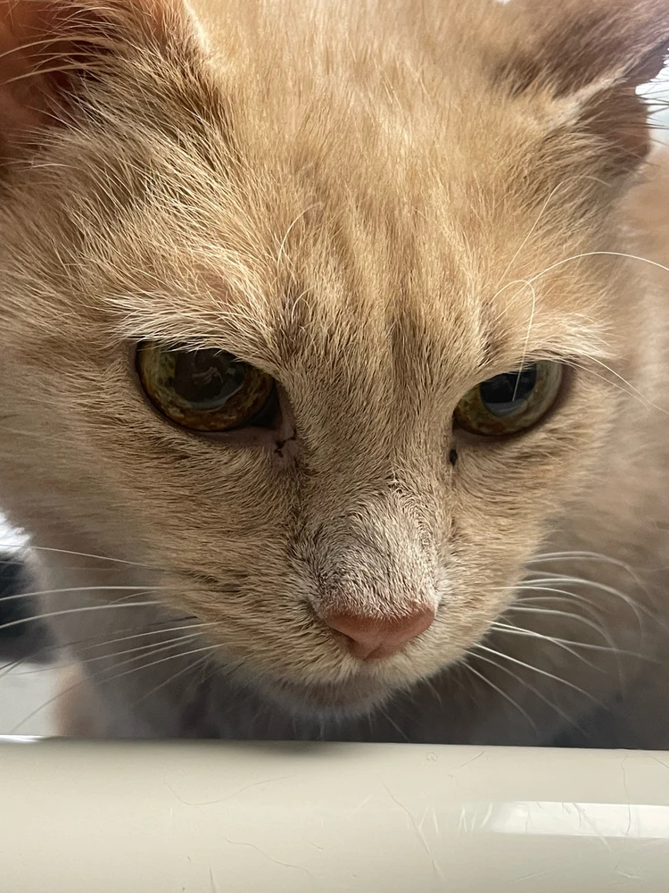 Image uploaded by Robbie