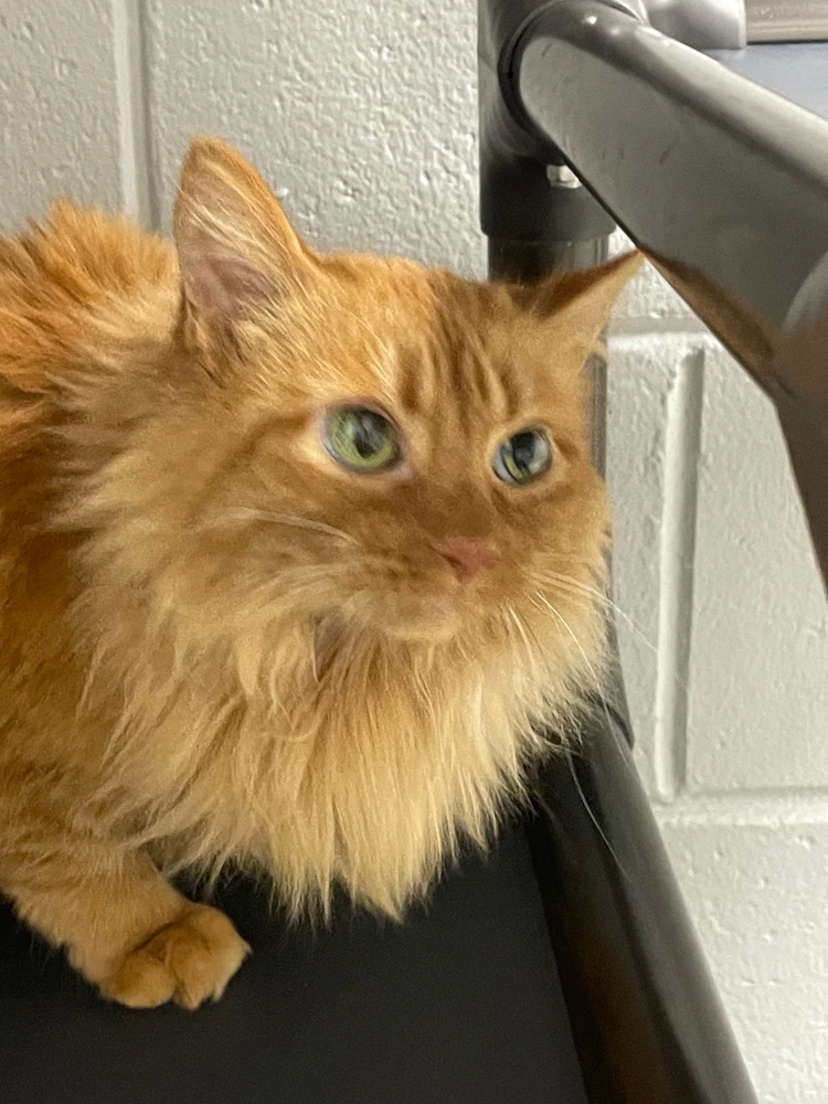 Image uploaded by Robbie