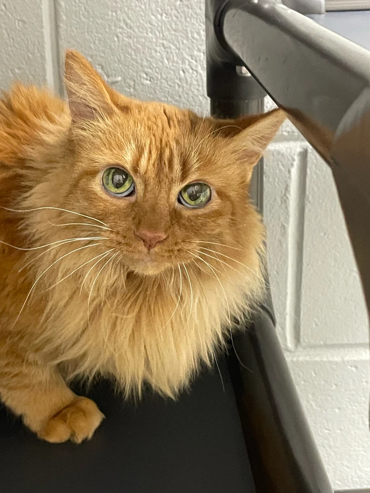 Image uploaded by Robbie