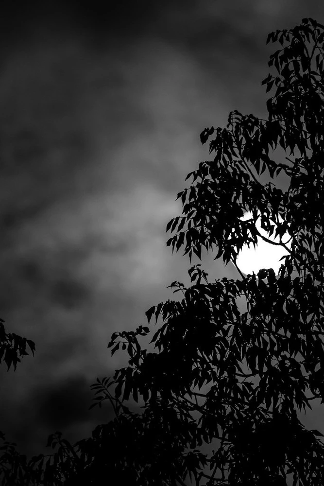 GIF uploaded by Jeremy