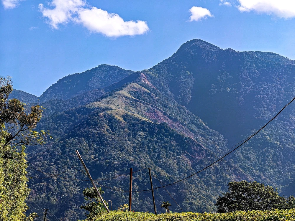 Image uploaded by Pritam Paul