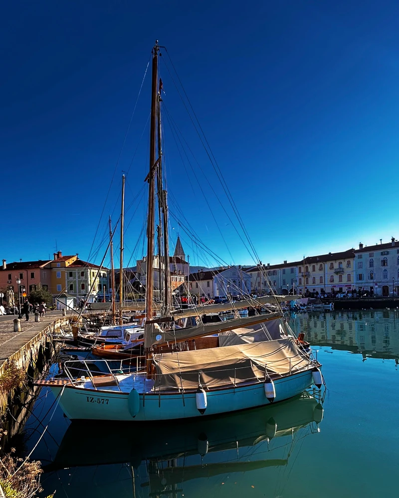 GIF uploaded by Windy