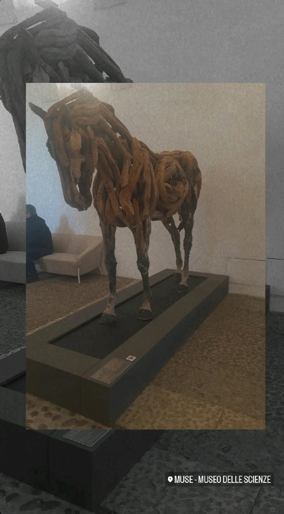 Immagine caricata da Giulia