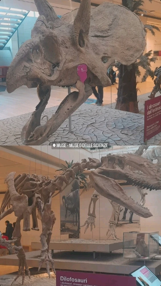 Immagine caricata da Giulia