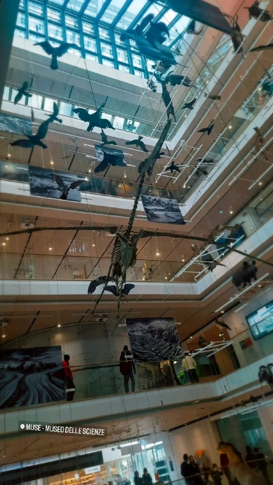 Immagine caricata da Giulia