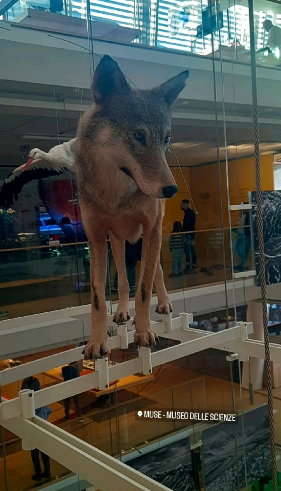 Immagine caricata da Giulia