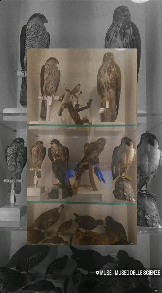 Immagine caricata da Giulia