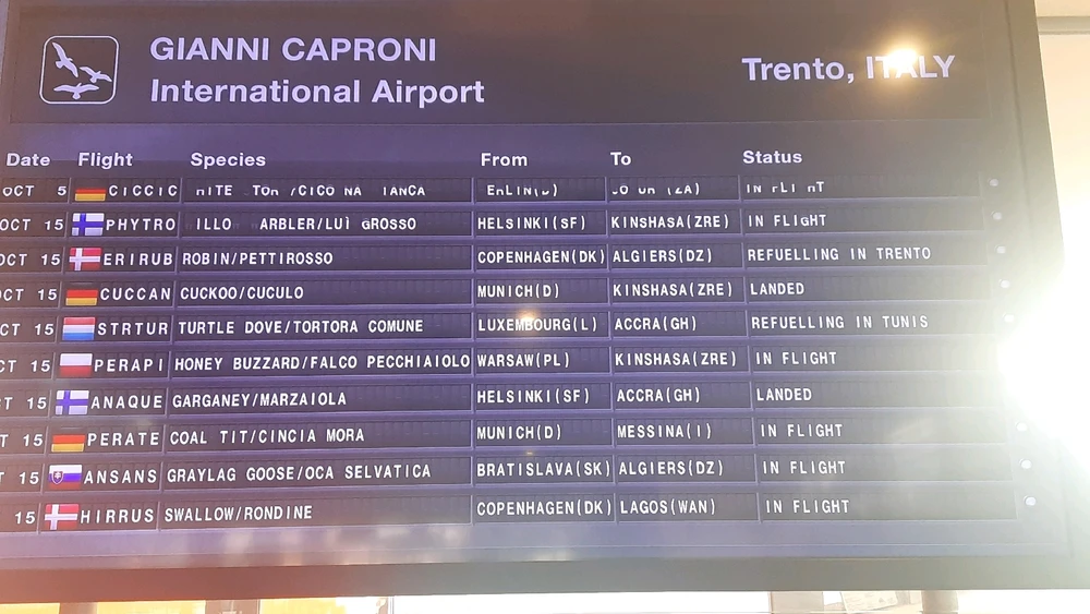 Immagine caricata da Giulia