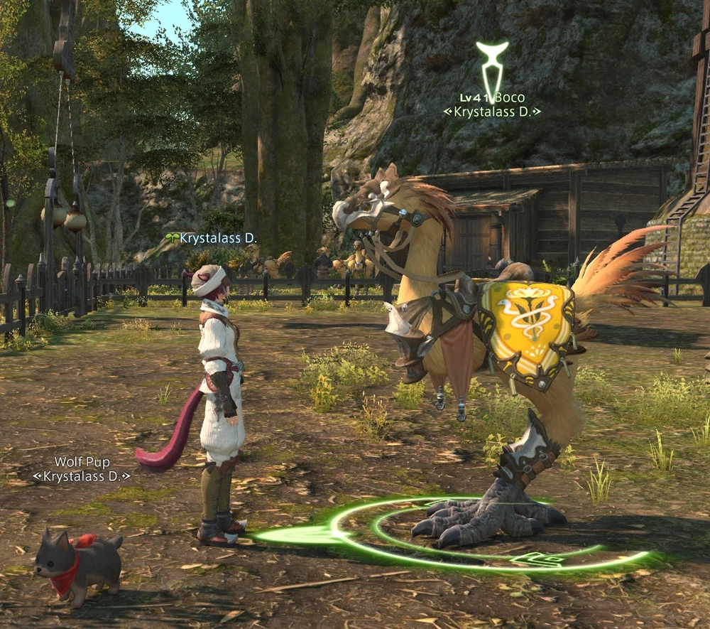 Image uploaded by Michael