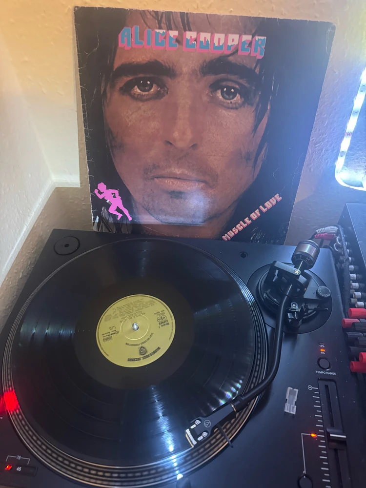 Tibor által feltöltött GIF