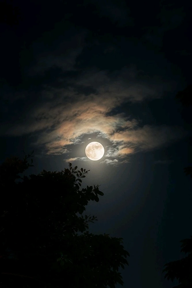 GIF uploaded by BLESS