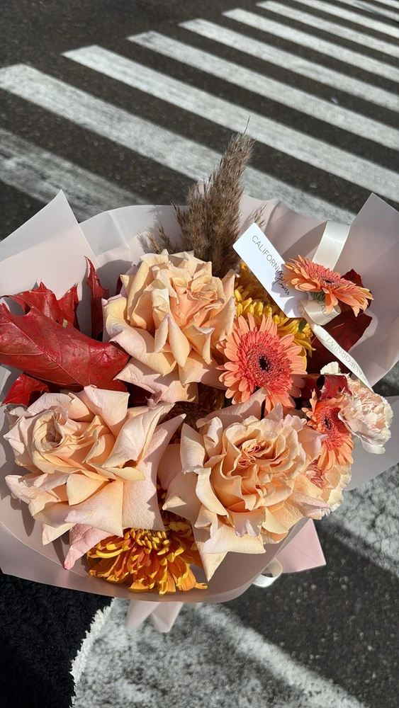 GIF încărcat de Petronel